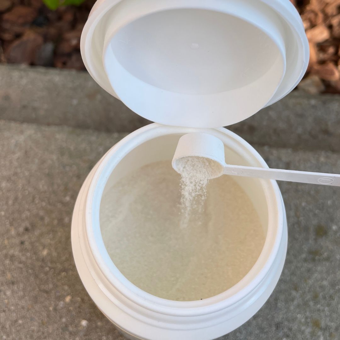 Probiotika Hühner, Wachteln Durchfall, Hühner im Garten