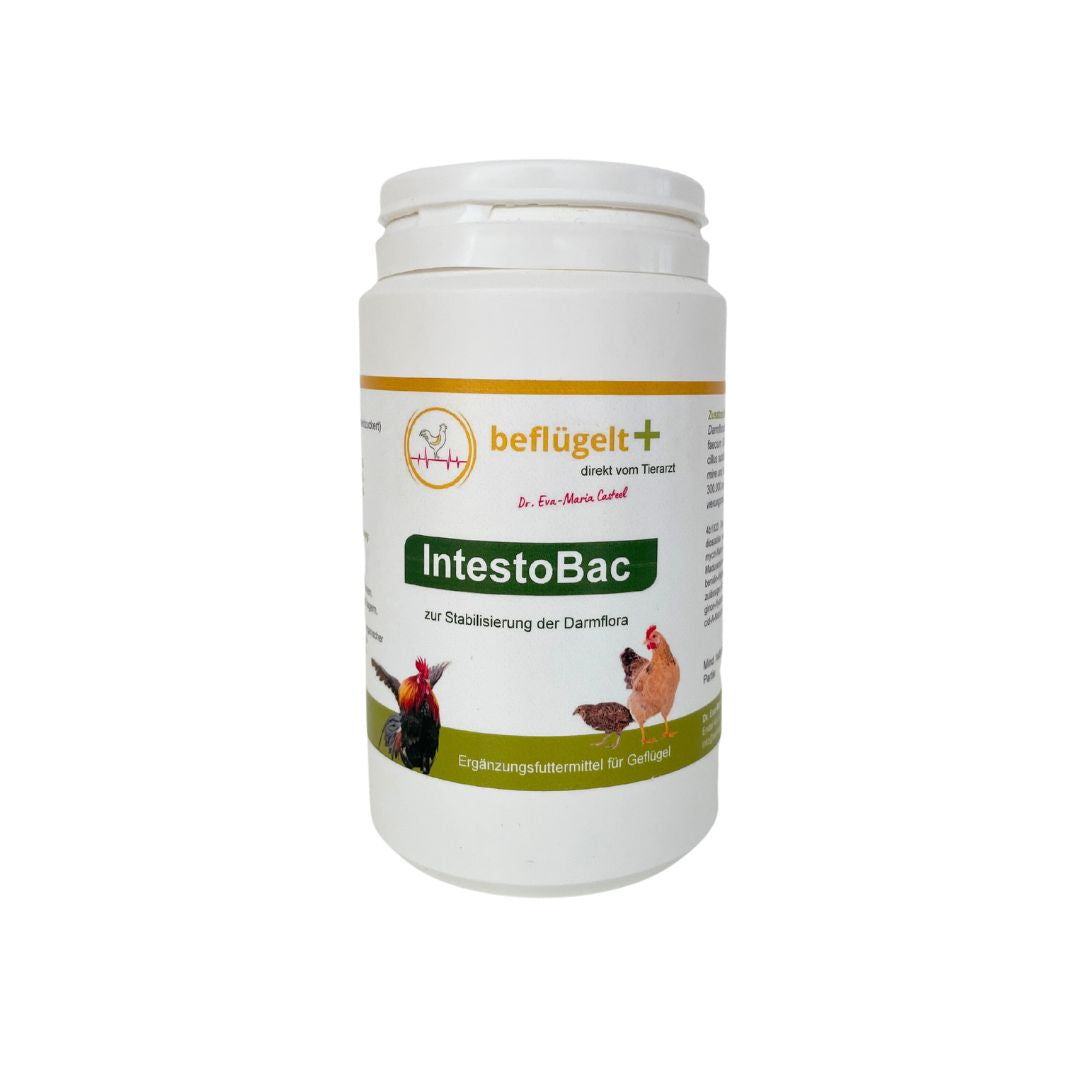 Durchfall Hühner, Hühner im Garten, Probiotika Hühner