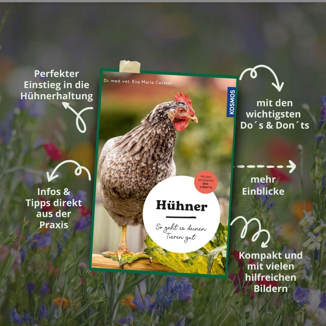 Hühner - So geht es deinen Tieren gut I Hühnerbuch für Einsteiger in die Hobbyhaltung