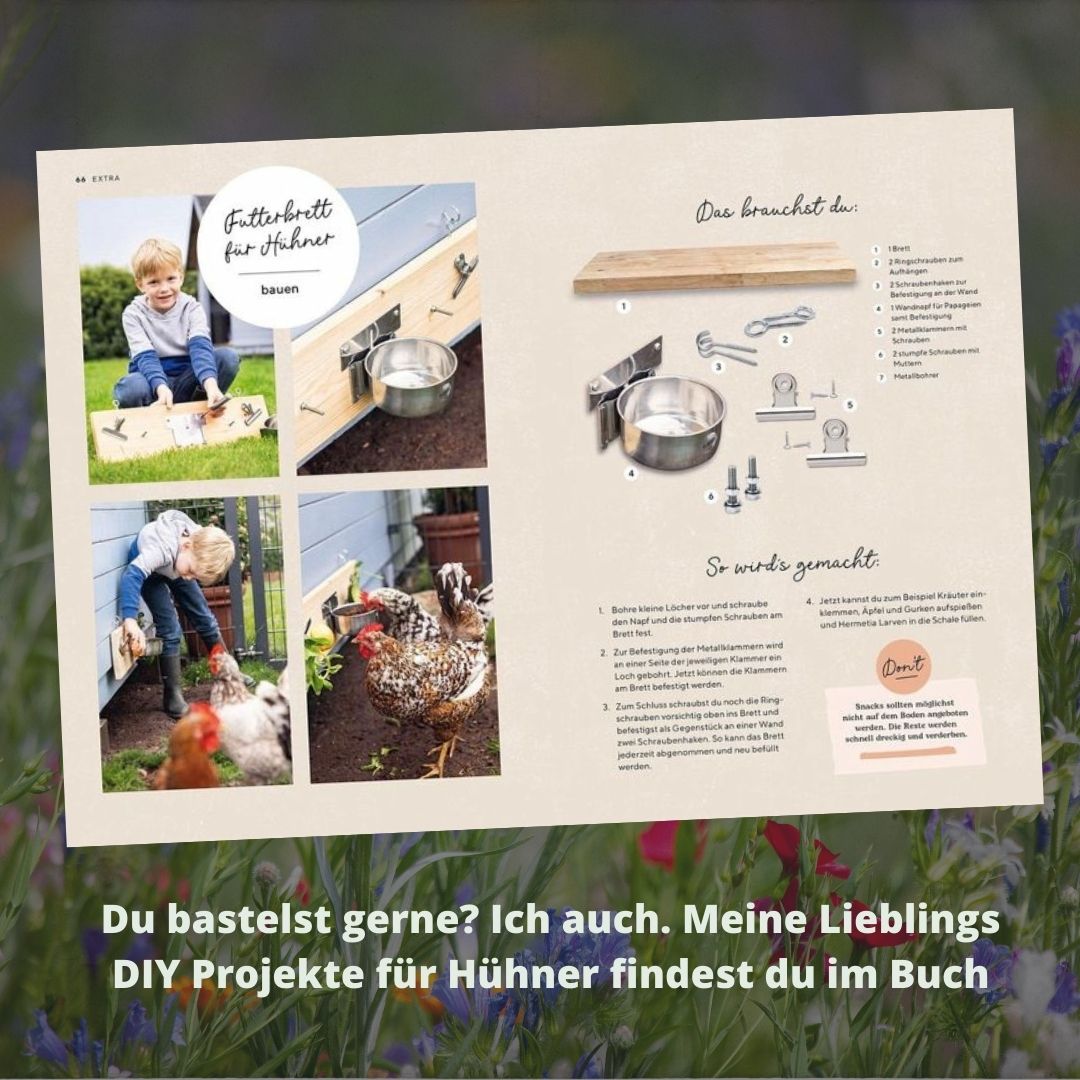 Hühner - So geht es deinen Tieren gut I Hühnerbuch für Einsteiger in die Hobbyhaltung