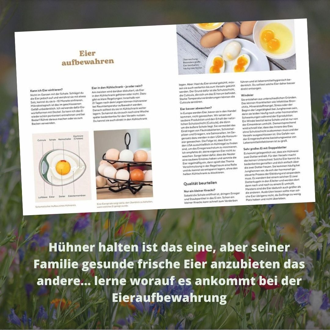 Hühner - So geht es deinen Tieren gut I Hühnerbuch für Einsteiger in die Hobbyhaltung