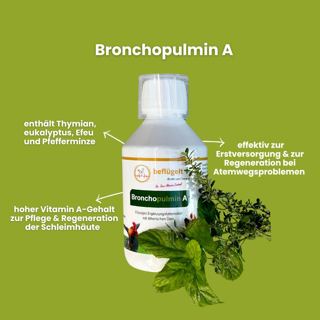 Hühnerschnupfen - Erste Hilfe Set