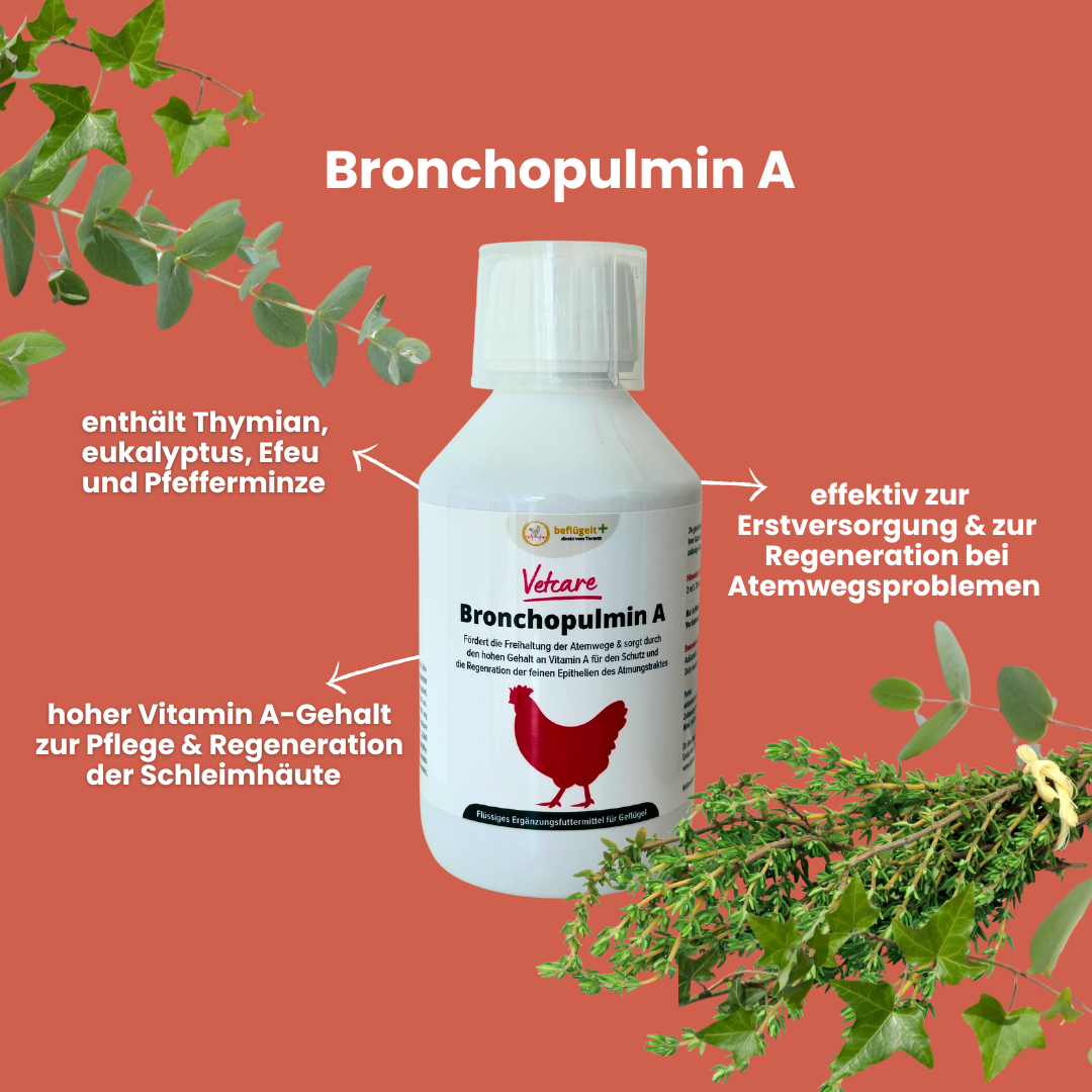 Hühnerschnupfen - Erste Hilfe Set