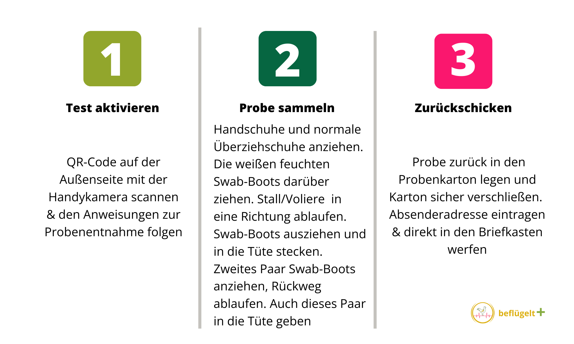 SalmoCheck – Kotuntersuchung auf Salmonellen bei Hühnern