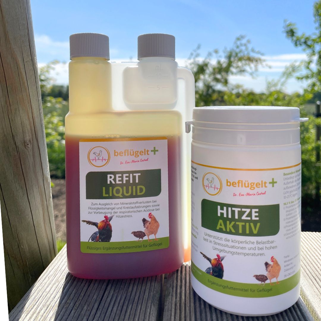 Erste Hilfe Hitzestress | beflügelt +®