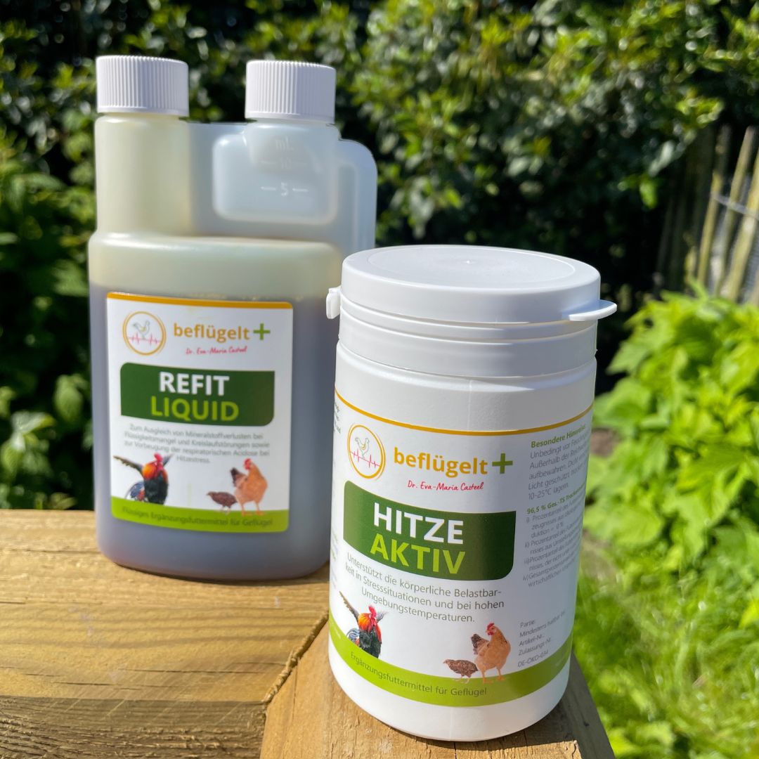 Erste Hilfe Hitzestress | beflügelt +®