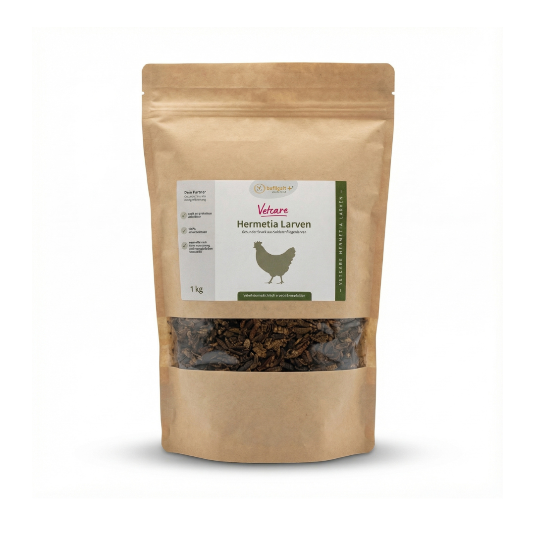 Hermetia Larven 1 kg