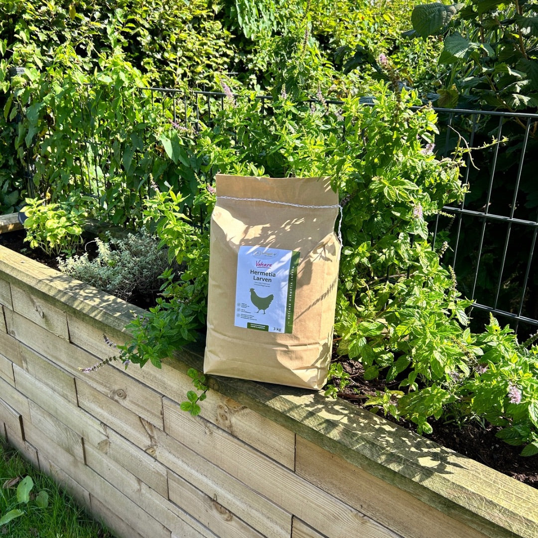 Hermetia Larven 3 kg