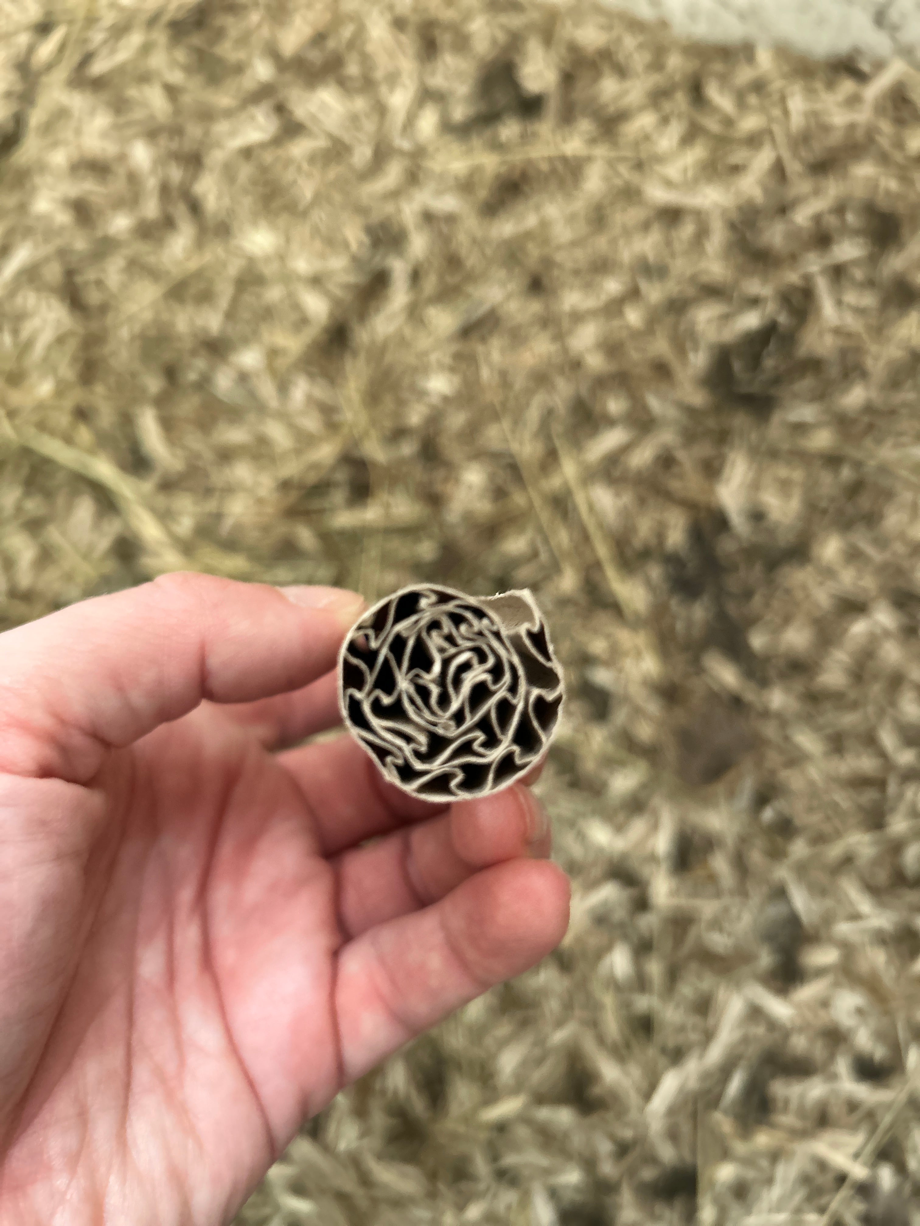 beflügelt + ® Milbenchecker zur Überwachung der roten Vogelmilbe im Hühnerstall