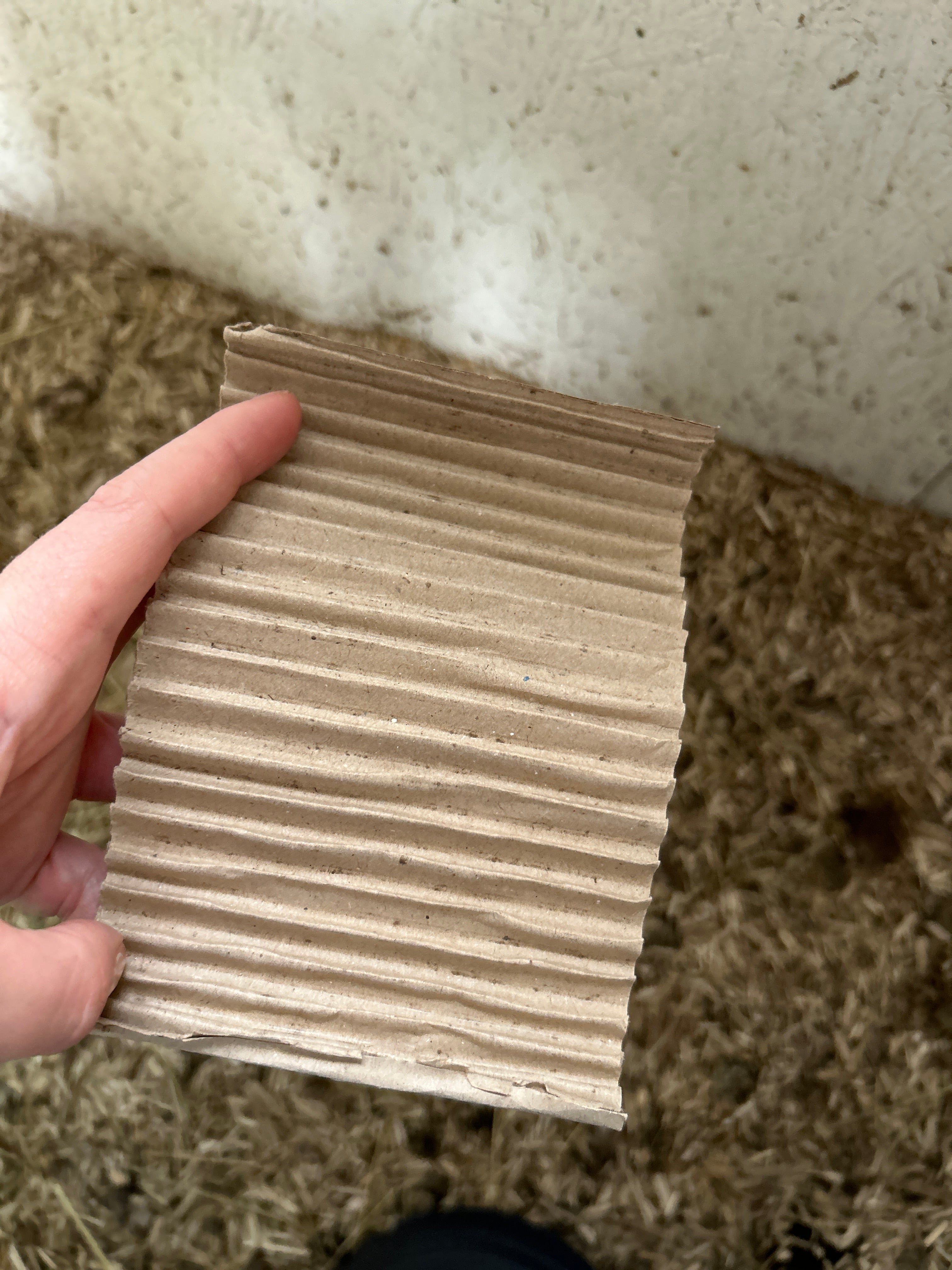 beflügelt + ® Milbenchecker zur Überwachung der roten Vogelmilbe im Hühnerstall