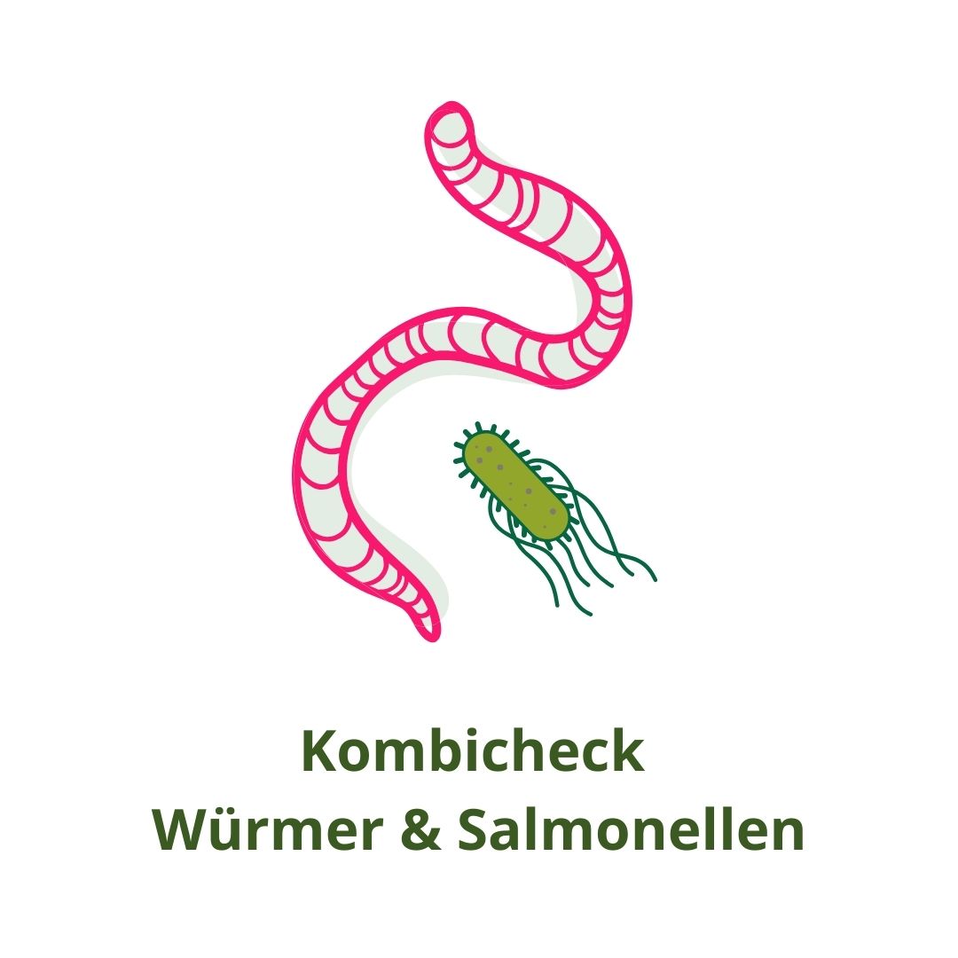 Kombicheck (Würmer & Salmonellen)