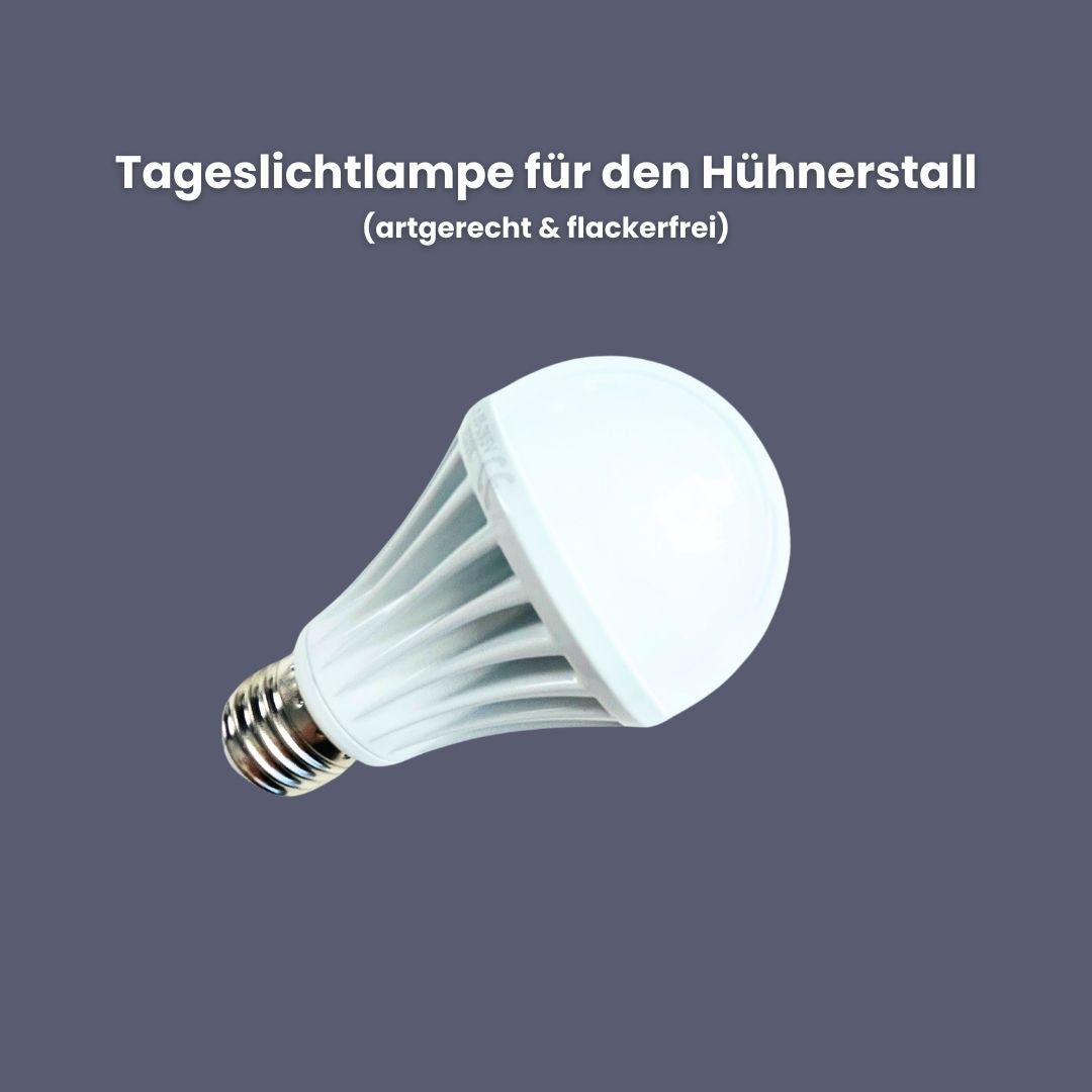 LED Beleuchtung für den Hühnerstall - flackerfreie Tageslichtlampe