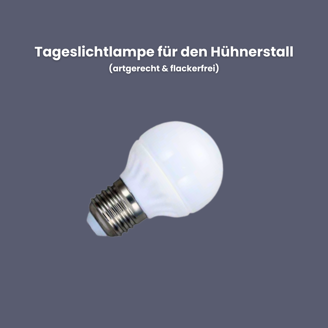 LED Beleuchtung für den Hühnerstall - flackerfreie Tageslichtlampe 5 Watt