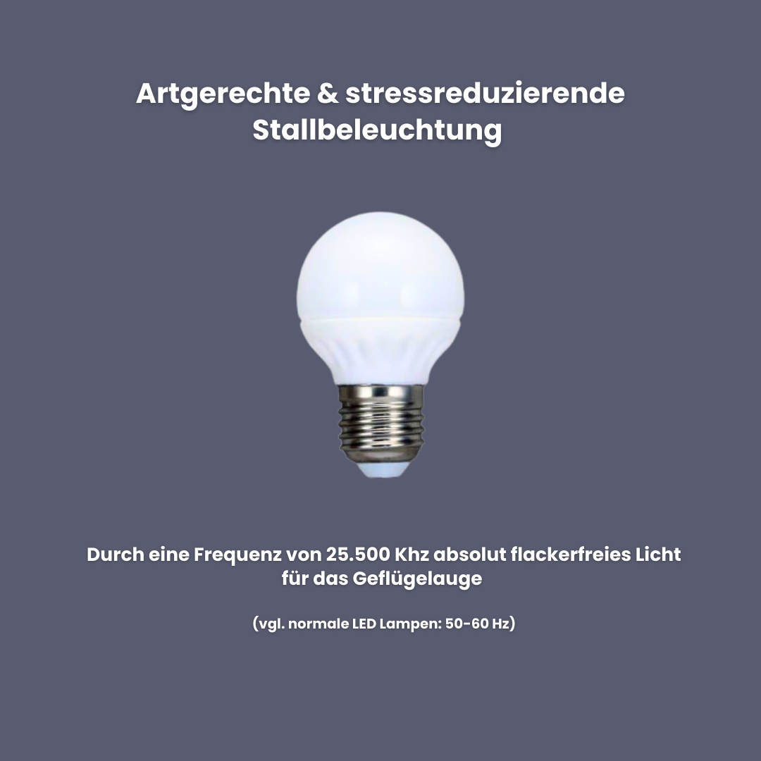 LED Beleuchtung für den Hühnerstall - flackerfreie Tageslichtlampe 5 Watt