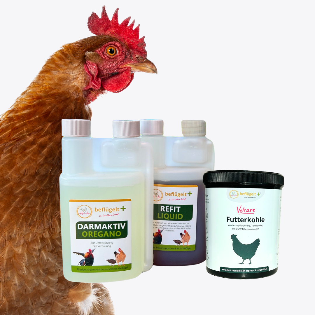 Hühner Durchfall Erste Hilfe Set