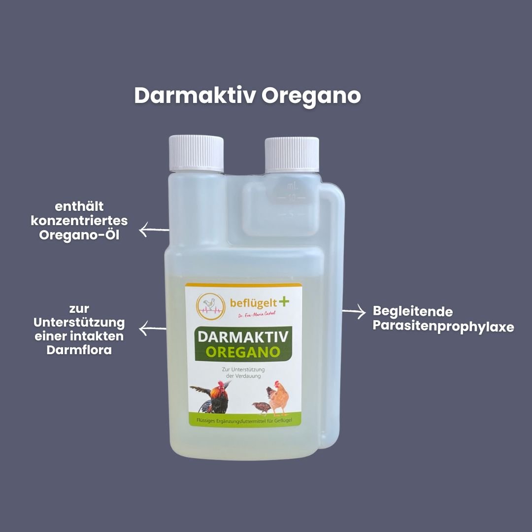 Hühner Durchfall Erste Hilfe Set