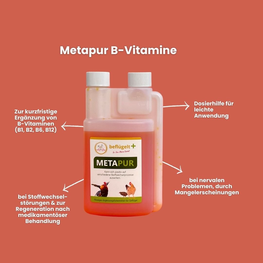 Kleine Hühnerhausapotheke (Probierset)