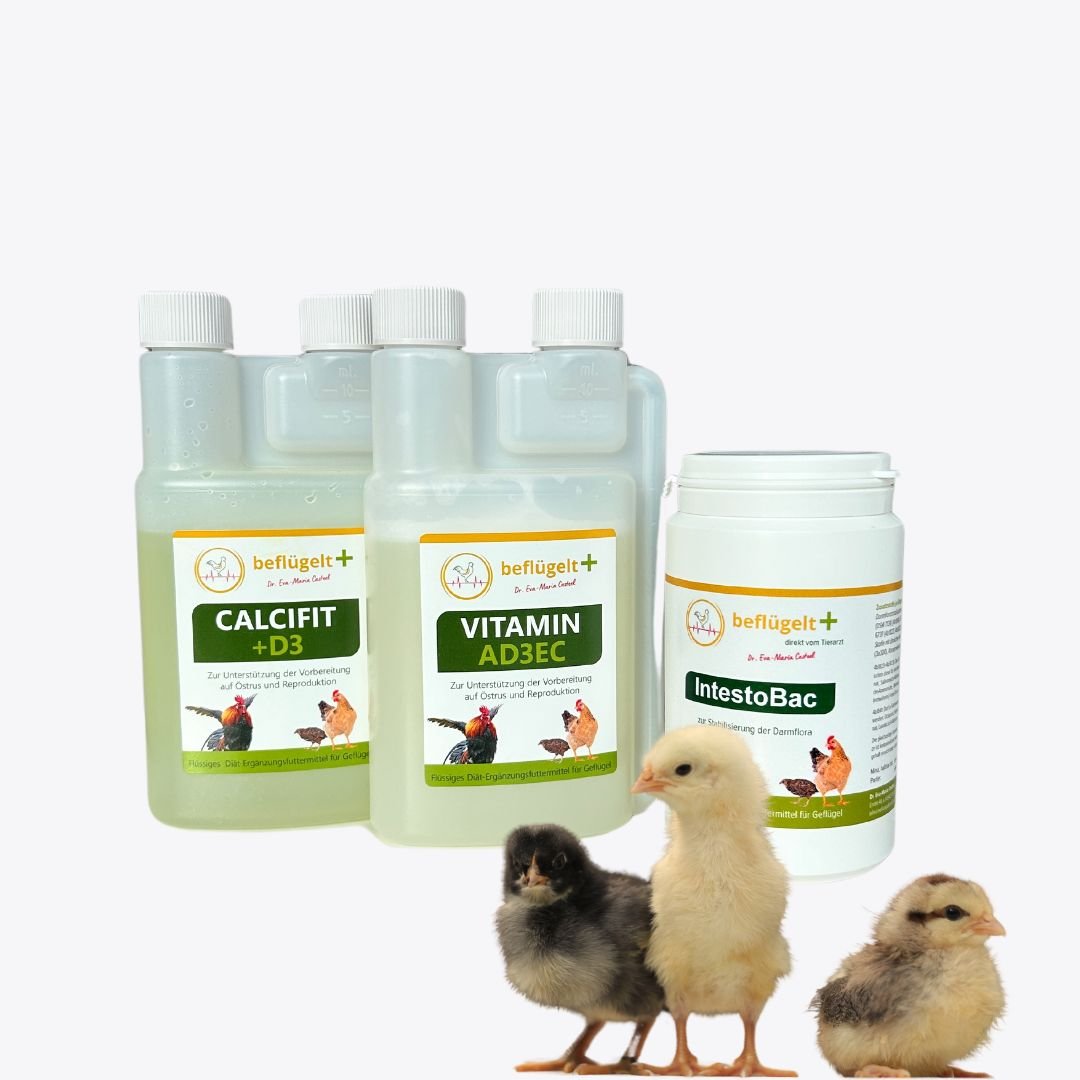 Küken Start-Set - für vitale Küken und gleichmäßiges Wachstum