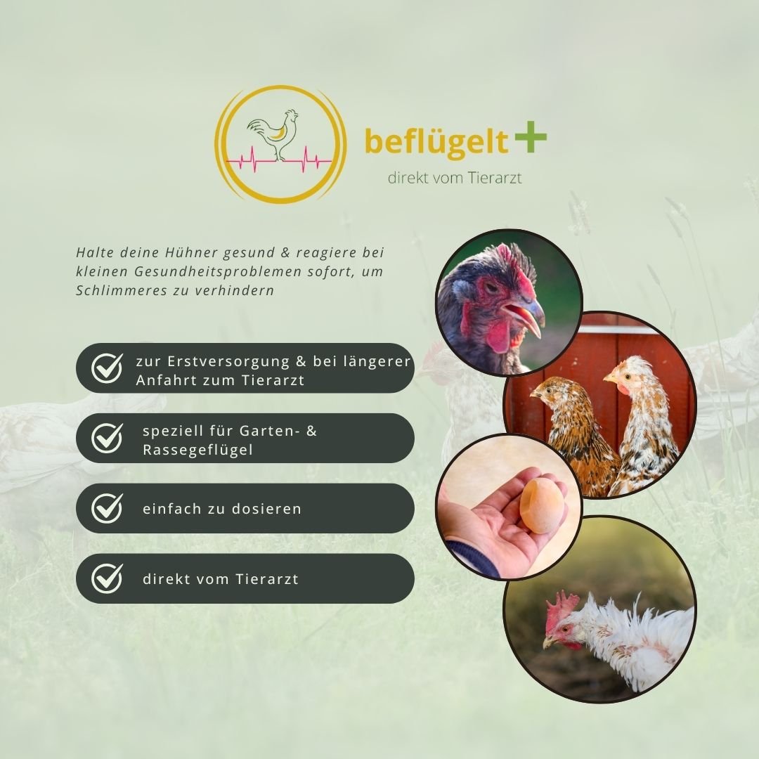 Kleine Hühnerhausapotheke (Probierset)