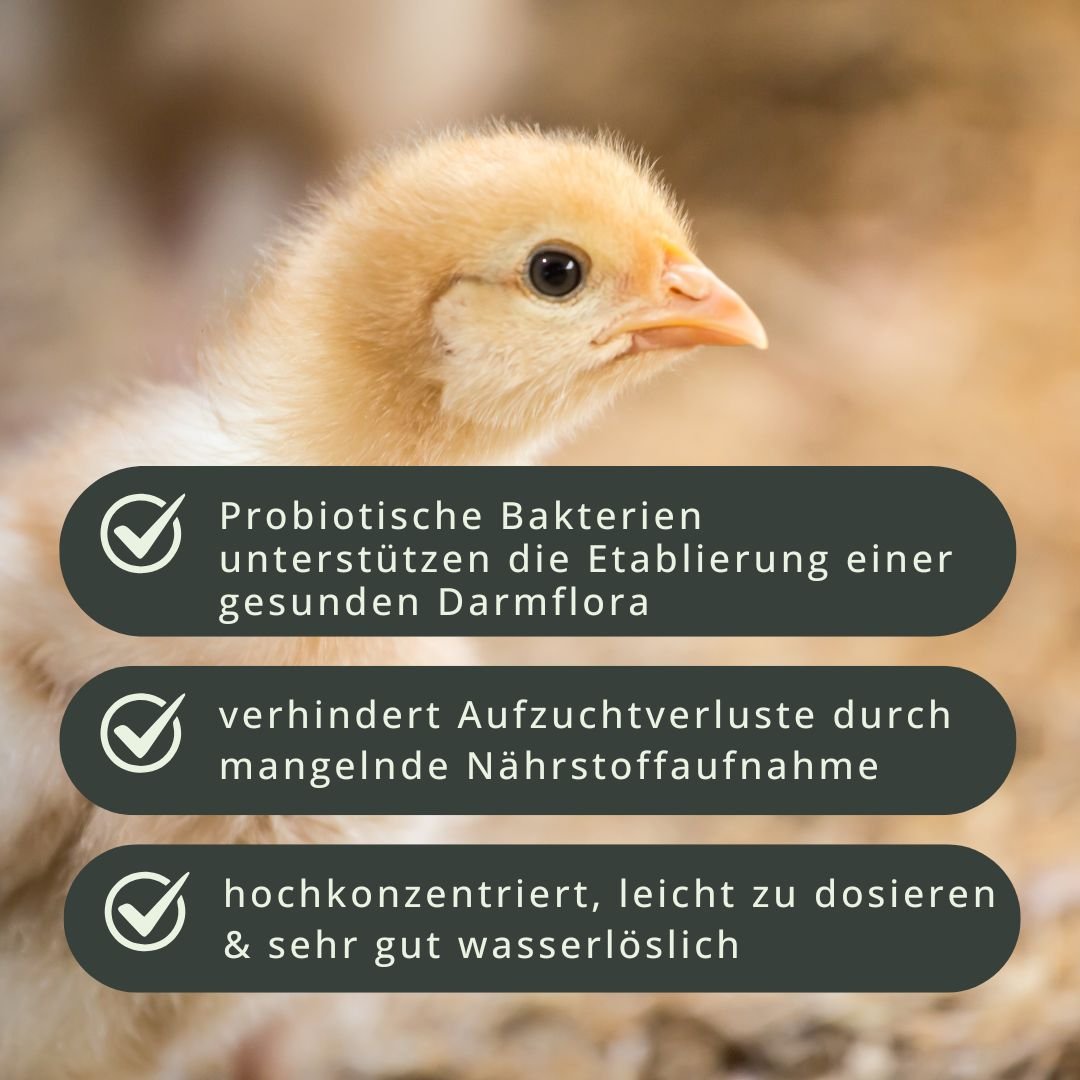 Küken Start-Set - für vitale Küken und gleichmäßiges Wachstum