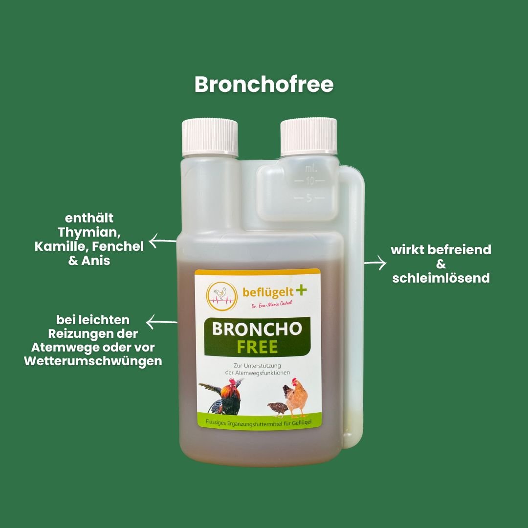 Kleine Hühnerhausapotheke (Probierset)