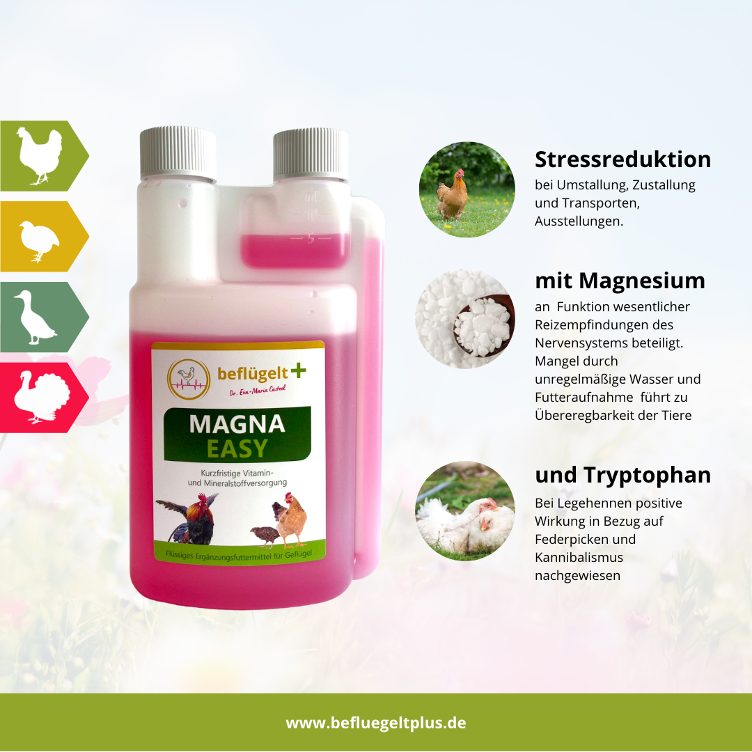 Magna Easy I beflügelt + ®