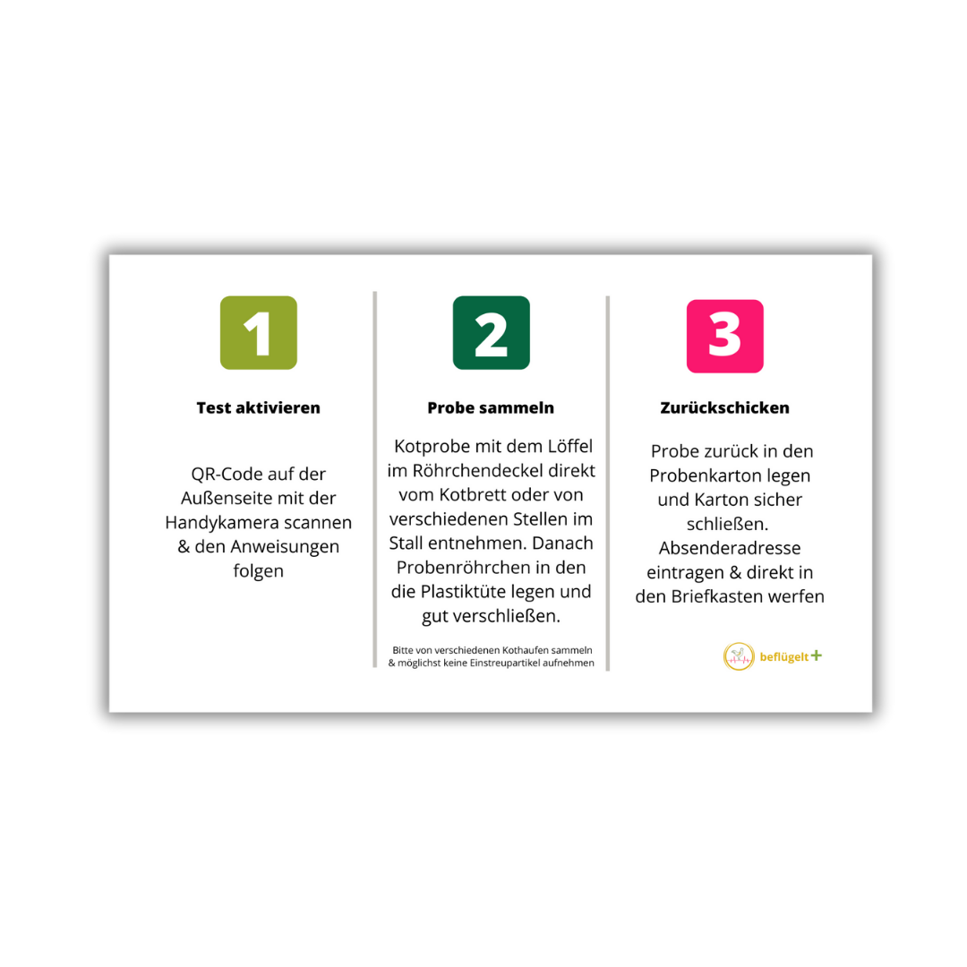 KokzidienCheck – Kotuntersuchung auf Kokzidien bei Hühnern