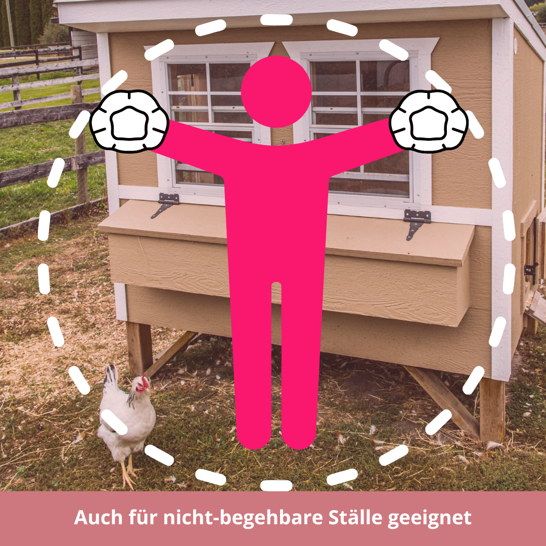 SalmoCheck – Kotuntersuchung auf Salmonellen bei Hühnern