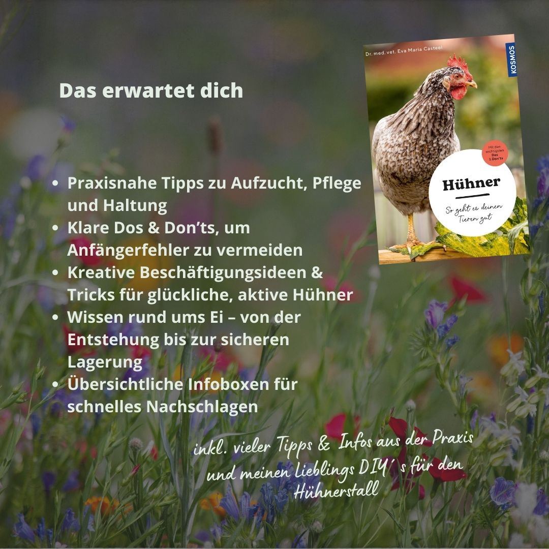 Hühner - So geht es deinen Tieren gut I Hühnerbuch für Einsteiger in die Hobbyhaltung