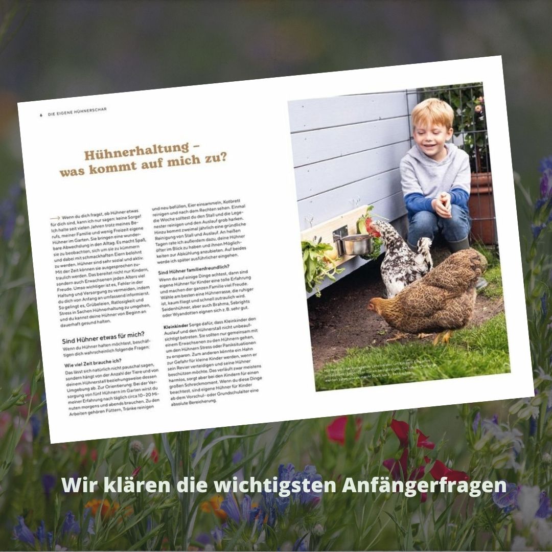 Hühner - So geht es deinen Tieren gut I Hühnerbuch für Einsteiger in die Hobbyhaltung