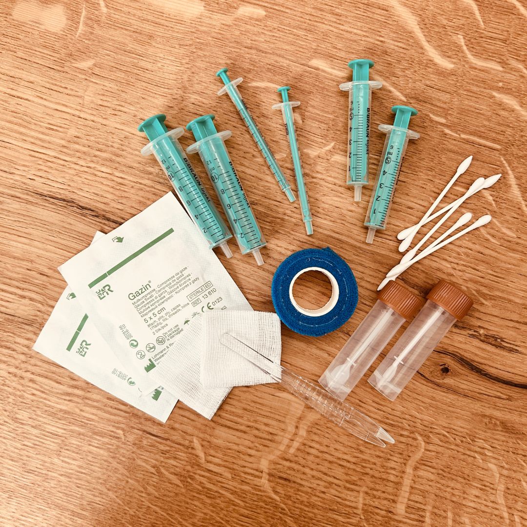 Basis Set-Erste Hilfe für Hühner
