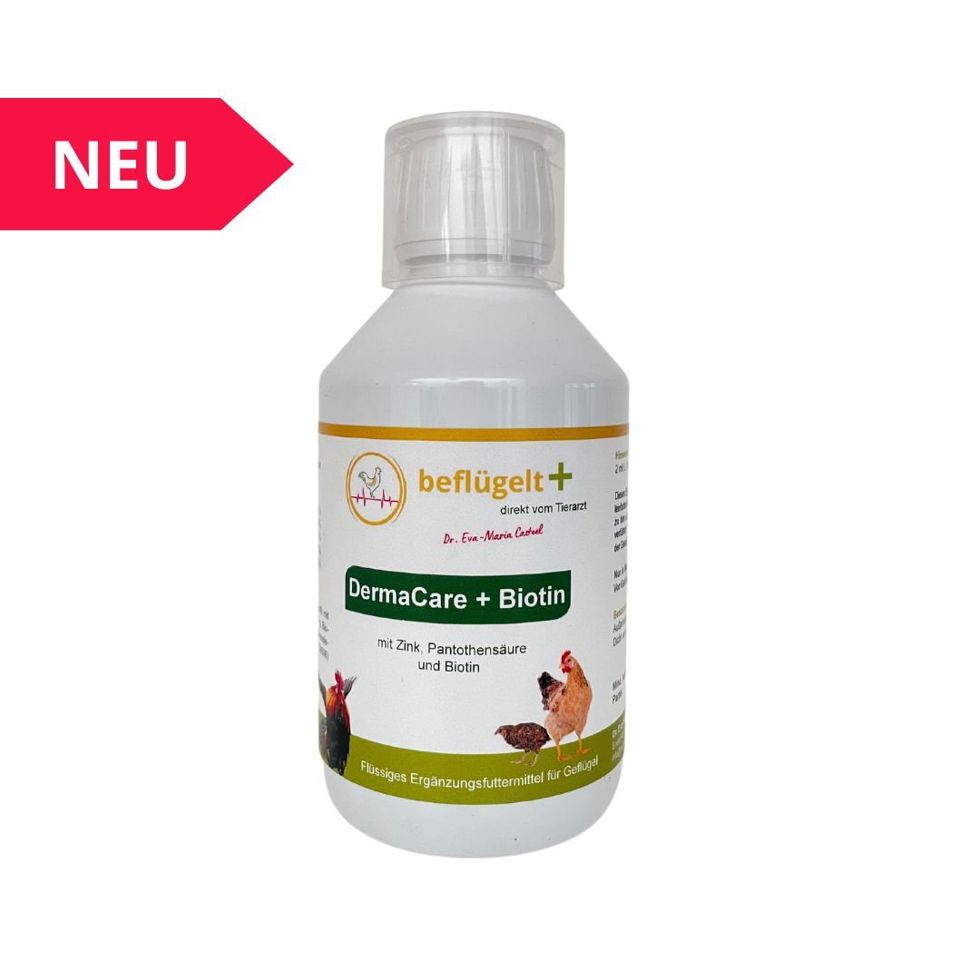 Hühner fußballenentzündung, Verletzungen Hühner im Garten
