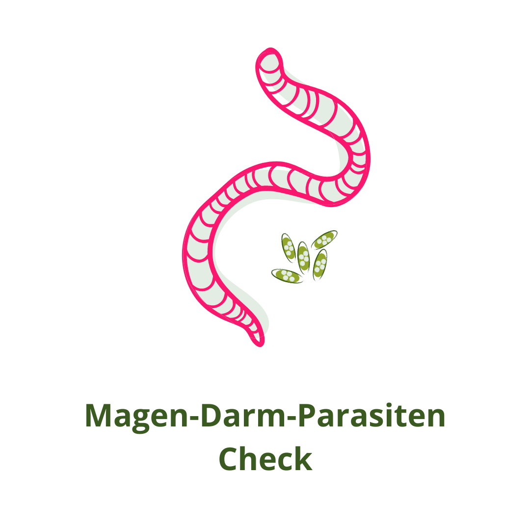 Magen-Darm Parasiten Check