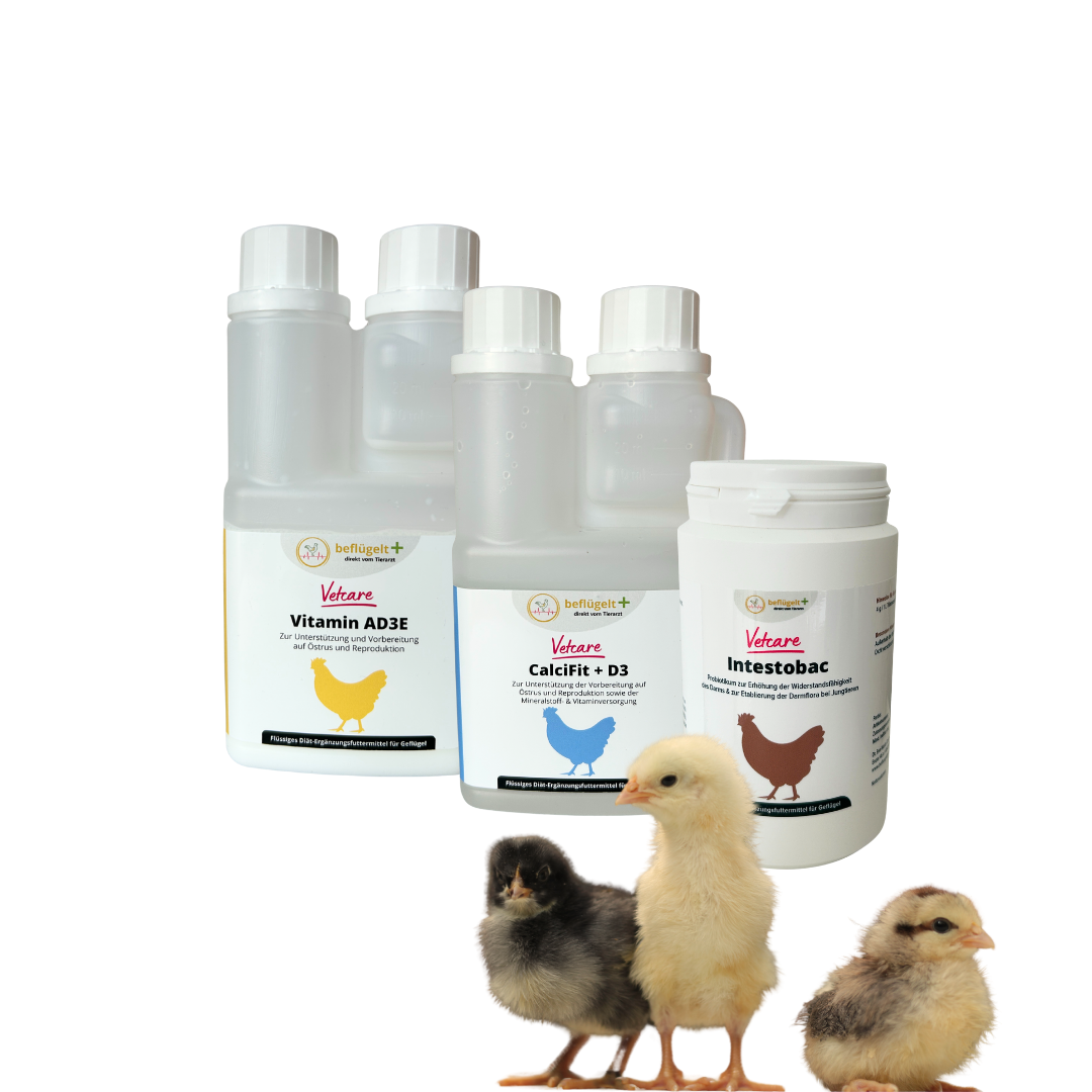 Küken Start-Set - für vitale Küken und gleichmäßiges Wachstum
