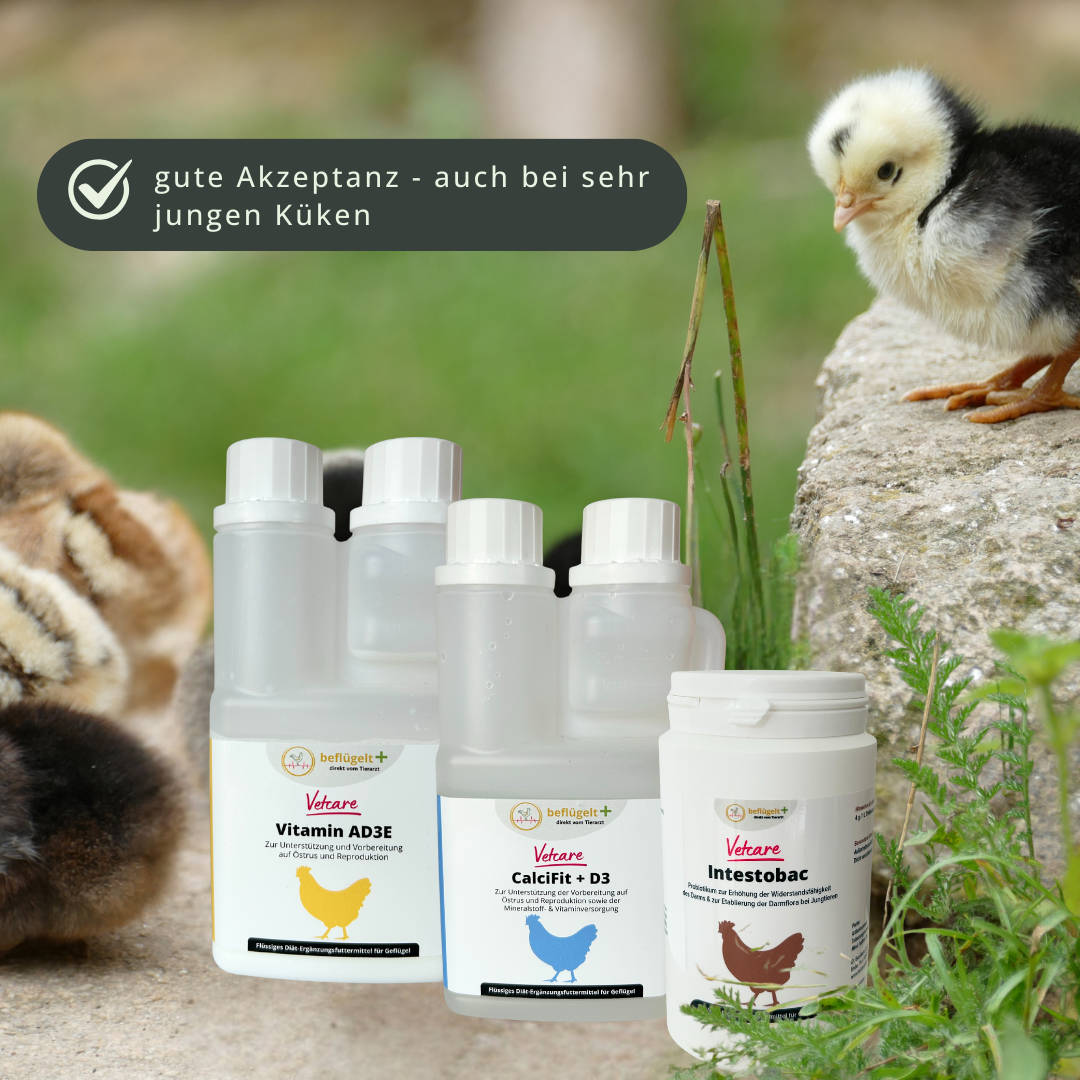 Küken Start-Set - für vitale Küken und gleichmäßiges Wachstum