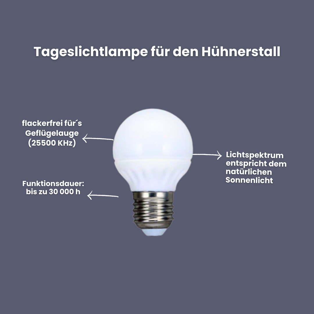 LED Beleuchtung für den Hühnerstall - flackerfreie Tageslichtlampe 5 Watt
