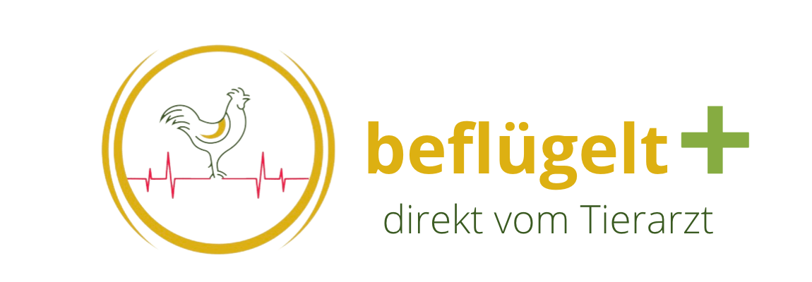 Hühner im Garten halten - beflügelt + 