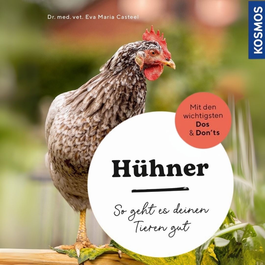 Hühner - So geht es deinen Tieren gut I Hühnerbuch für Einsteiger in die Hobbyhaltung