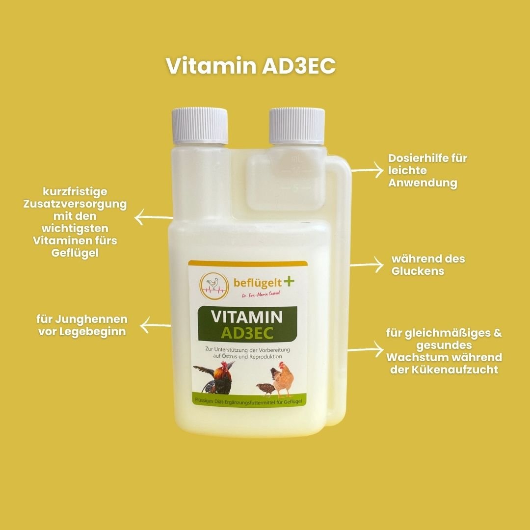 Küken Start-Set - für vitale Küken und gleichmäßiges Wachstum
