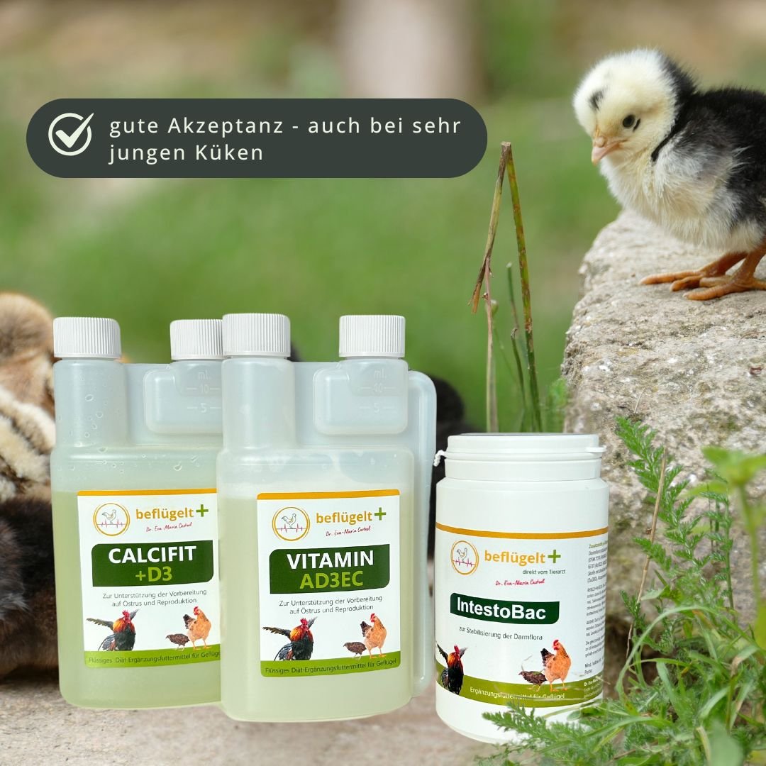 Küken Start-Set - für vitale Küken und gleichmäßiges Wachstum