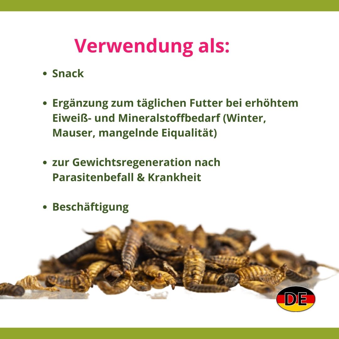 Getrocknete Larven 3 kg I beflügelt+®