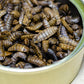 Getrocknete Larven 3 kg I beflügelt+®