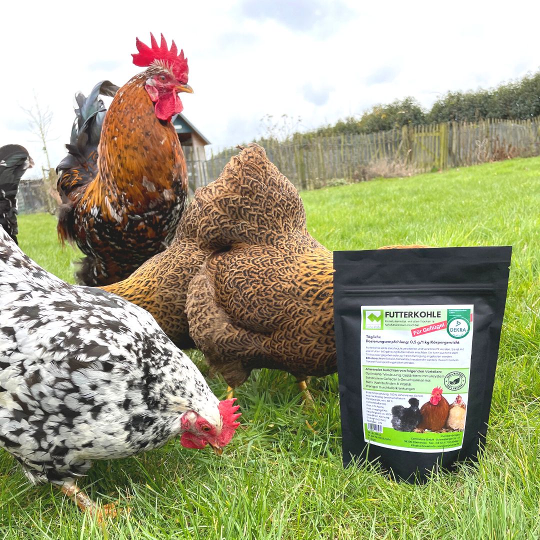 Futterkohle für Hühner zur Verdauungsförderung und bei Durchfall