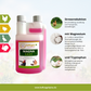 Magna Easy I beflügelt + ®